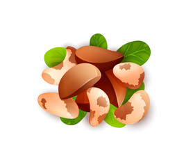 Brazil nut label. Brazillian nut, healthy food