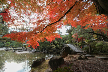 オレンジの紅葉が美しい日本庭園の紅葉