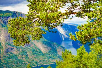 Fjord landscape Aurlandsfjord in Norway