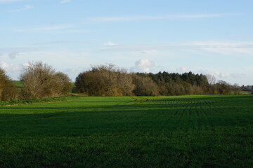 Suffolk fields near Haverhill. Green patterns, woods, sunny day, some shadows, lovely autumn winter walk in UK. December 2020