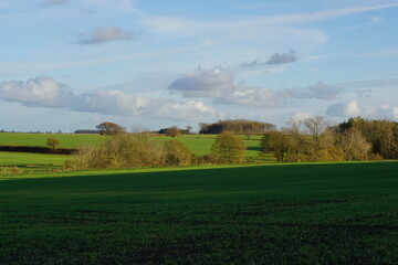 Suffolk fields near Haverhill. Green patterns, woods, sunny day, some shadows, lovely autumn winter walk in UK. December 2020