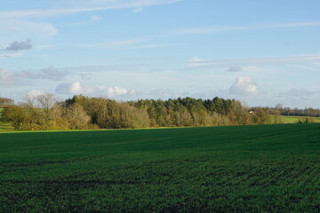 Suffolk fields near Haverhill. Green patterns, woods, sunny day, some shadows, lovely autumn winter walk in UK. December 2020