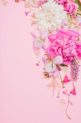 Fototapeta na wymiar beautiful flowers on pink paper background
