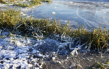 the first ice on the pond, green grass and snow. Moscow