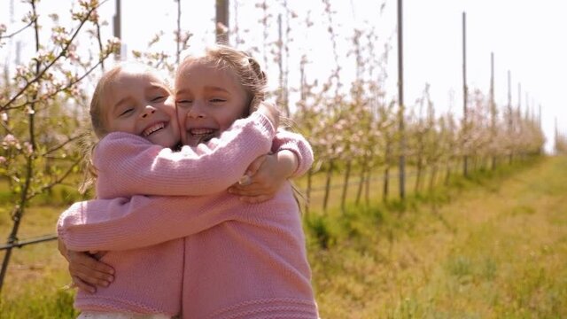 Two little twin sisters dressed in identical dresses and pink sweaters hug in an Apple orchard in spring.