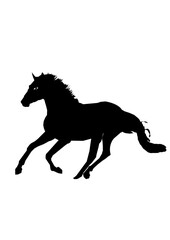 Fototapeta na wymiar HORSE,horse, animal, black, stallion, silhouette, white, isolated, running, gallop, illustration, run, wild, mammal, farm, horses, equine, nature, equestrian, race, animals, mane, vector, riding, pony