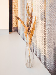 Glass vase with relief ornament and dried grass. Trendy interior decoration. Hard sunlight on window sill and tulle curtain. Cozy home with dried fluffy plants.