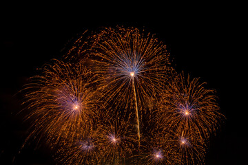 Bursting of Fireworks festival in the night.