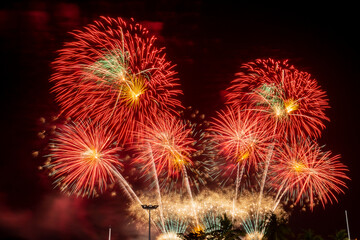 Bursting of Fireworks festival in the night.