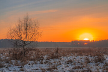 Winter sunset over the field