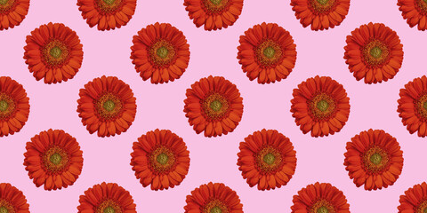 beautiful background with flowers seamless pattern with red gerbera