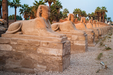 Avenue of Sphinxes or Sphinx Alley in Luxor Egypt with Ancient Statues