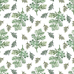 Naklejka na ściany i meble Watercolor seamless pattern with stylized twigs, flowers and leaves of the Wormwood plant