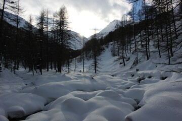 verschneite Winterlandschaft Pfelders, Passeiertal, Südtirol, Italien