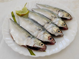 Close up view of fresh curry cut ready to cook Indian Mackerel Fish decorated with Herbs .