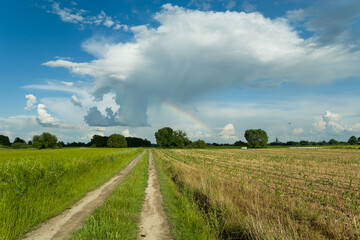 Fototapeta na wymiar Country road through fields and a small rainbow on the sky