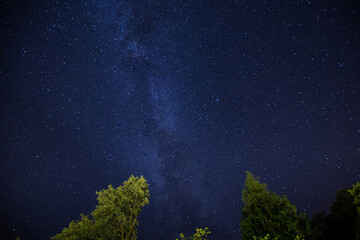 Milky Way Over Trees
