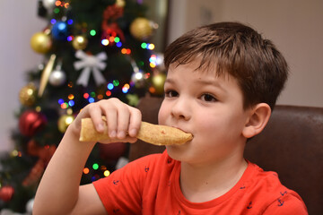 Little boy eating pancakes in front of traditional Christmas tree. Child enjoy eating pancake in Christmas Eve holiday celebration