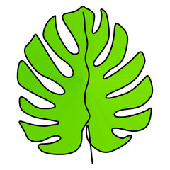 Tropical background with leaves of ficus elastica, pholodendron, monstera, eucalyptus isolated on white background.Invitation, banner, post on a social network.