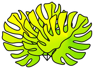 Tropical background with leaves of ficus elastica, pholodendron, monstera, eucalyptus isolated on white background.Invitation, banner, post on a social network.