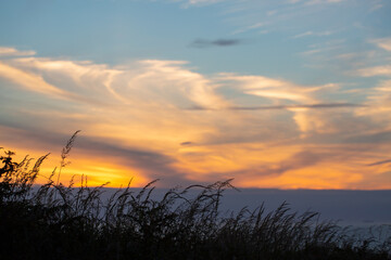 Fototapeta premium Sunset With Silhouetted Grass