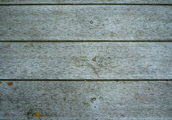 Fototapeta premium Natural wood texture and surface wood background or texture