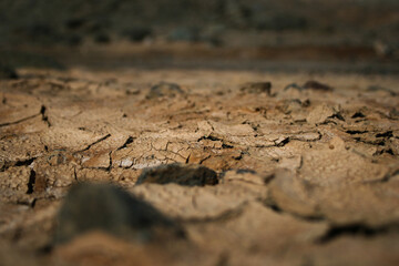 Cracks Formed In Dry Soil