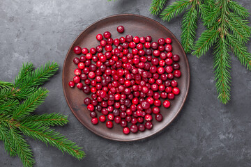 Raw fresh cranberries on wooden plate and fir branches on stone background. Top view