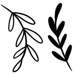 Two branches - minimalistic black and white image, a white and a black branch. Isolated elements on white background.  Digital illustration, made after hand drawn image.