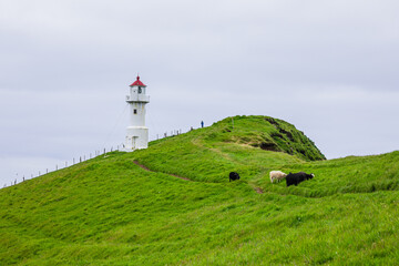 Fototapeta na wymiar View of lighthouse at Mykines island in Faroe Islands, North Atlantic Ocean.
