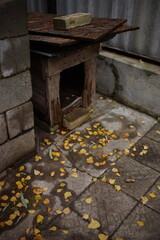 Old wooden doghouse among autumn yellow foliage in a rural yard