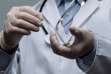 A doctor with a stethoscope rolling a green medical cannabis joint for treatment