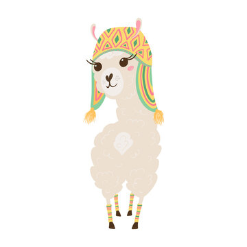 Cute lama in a cap in pastel colors isolated on white background . Funny baby animal. Alpaca for your child's room design. Vector illustration