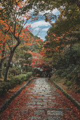 Fototapeta na wymiar 日本 京都 秋の宝匡院と紅葉景色