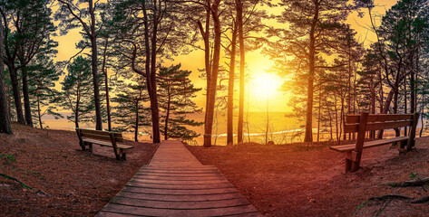 Sunset landscape over the Baltic sea with the sun warmly illumining a bench under trees. Romantic mood at sunset at coniferous forest near sea. An empty wooden benches in the forest with view to sea.
