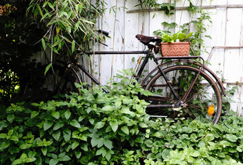Fototapeta na wymiar Stilleben mit Fahrrad