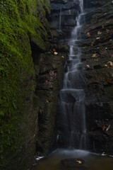 Obraz na płótnie Canvas waterfall in the forest