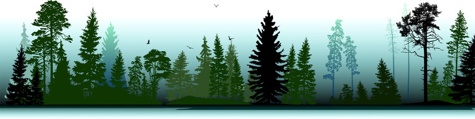 fir trees forest on light green background