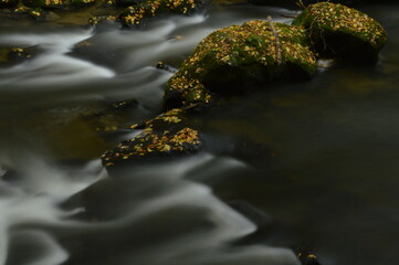 waterfall in the forest