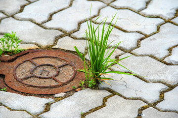 Rusty well on stone paving stones with sprouted grass