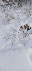 snow on the window