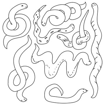 Set of contours of snakes, simple linear silhouettes of reptiles in various poses, coloring page