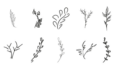 Obraz premium Doodle simple vector collection of 10 hand-drawn floral elements. Big collection of 10 hand-drawn branches. Big floral botanical set. Isolated on white background.