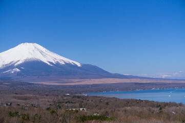 Fototapeta premium 山梨県の富士山と山中湖