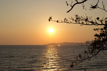 Beautiful view of tropical sunset in Thailand,relaxing place near water with colorful sunset and branches silhouette,sun path on the water,calming ocean view,twilight relaxation,travel destination