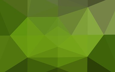 Obraz premium Light Green vector abstract polygonal texture.