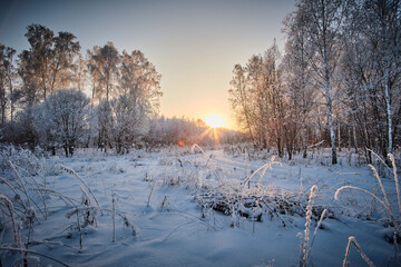 Winter sunset. The forest road between the trees is covered with fresh white snow. Wheel prints in the snow.
