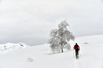 Fototapeta na wymiar Ascent on skis on the snowy mountain