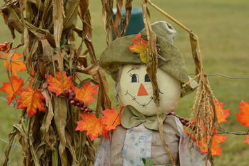 Scarecrow Guarding the Garden at Thanksgiving
