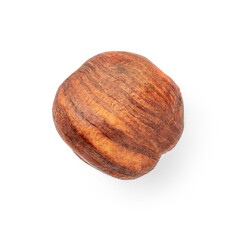 One Hazelnut isolated on white background. Top view. Flat lay.